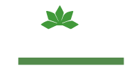 MONA FINANCIAL CONSULTANCY & SECURITIES LIMITED quant fintech